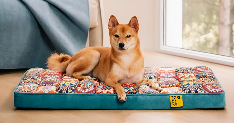 FunnyFuzzy UK Featured Image